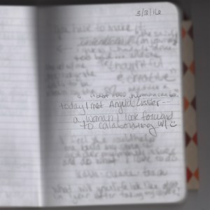 amberladley-journal-blog