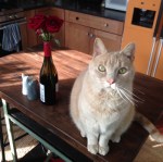 gratitude-scholarship-fund-speakersisterhood